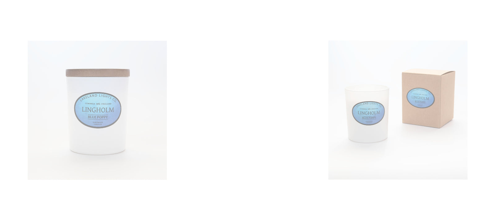 A Very Special Collaboration