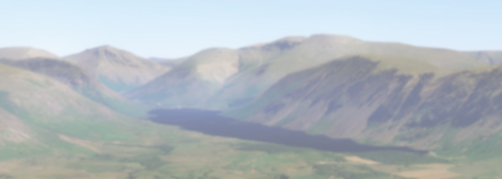 Local Delivery Service