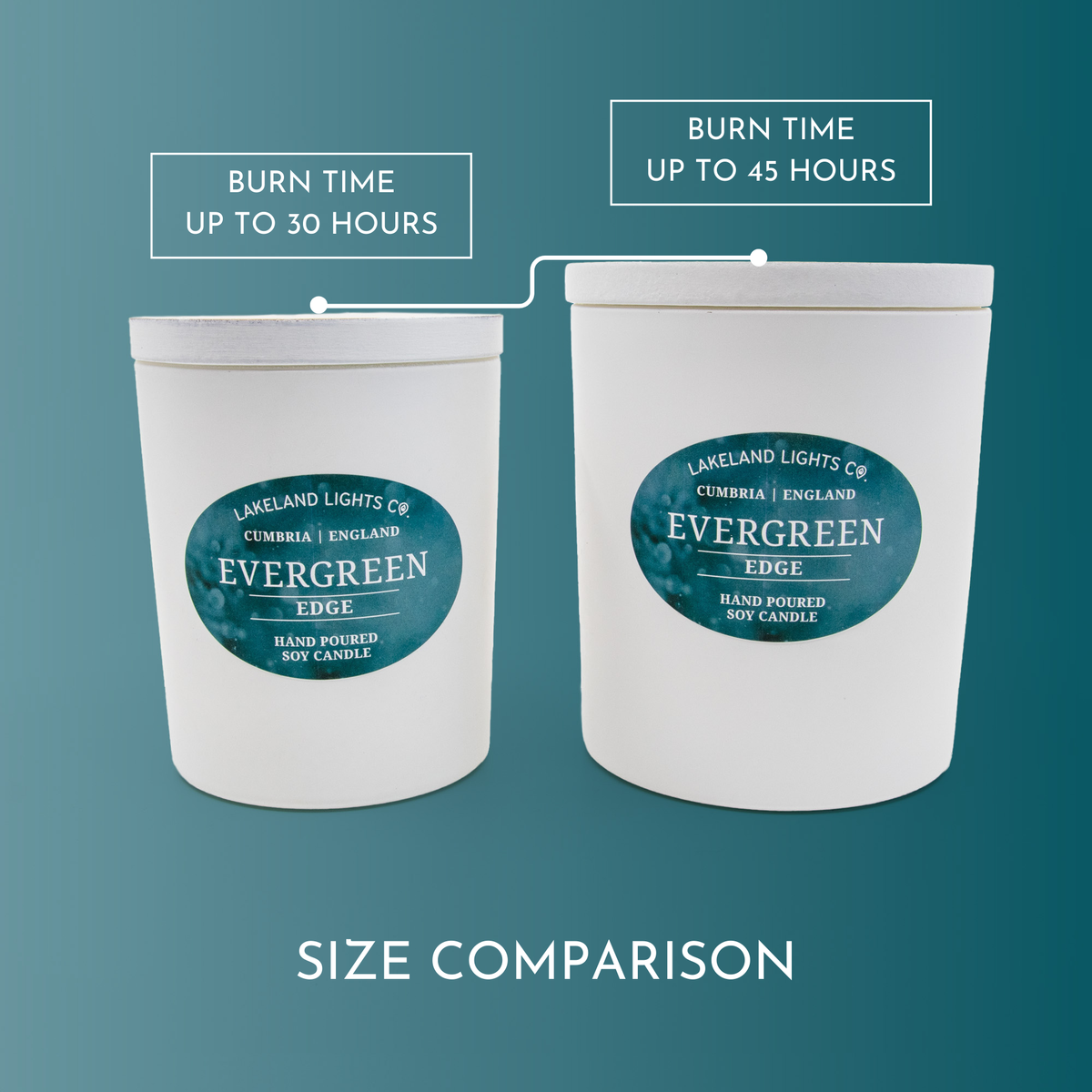 Evergreen Edge - Pine, Cedar & Fresh