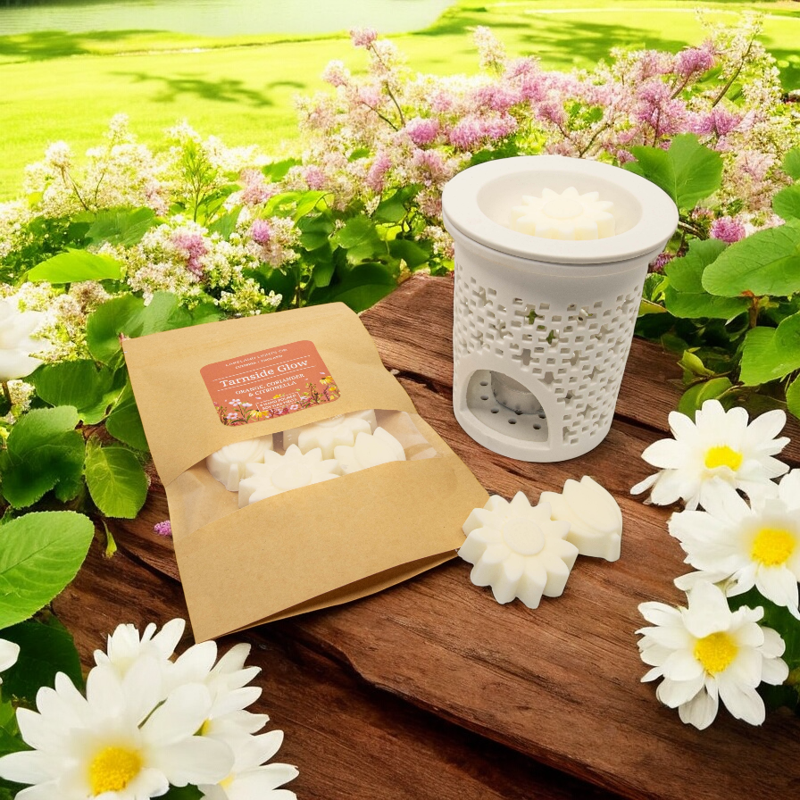 Tarnside Glow Wax Melts - Orange, Coriander &amp; Citronella